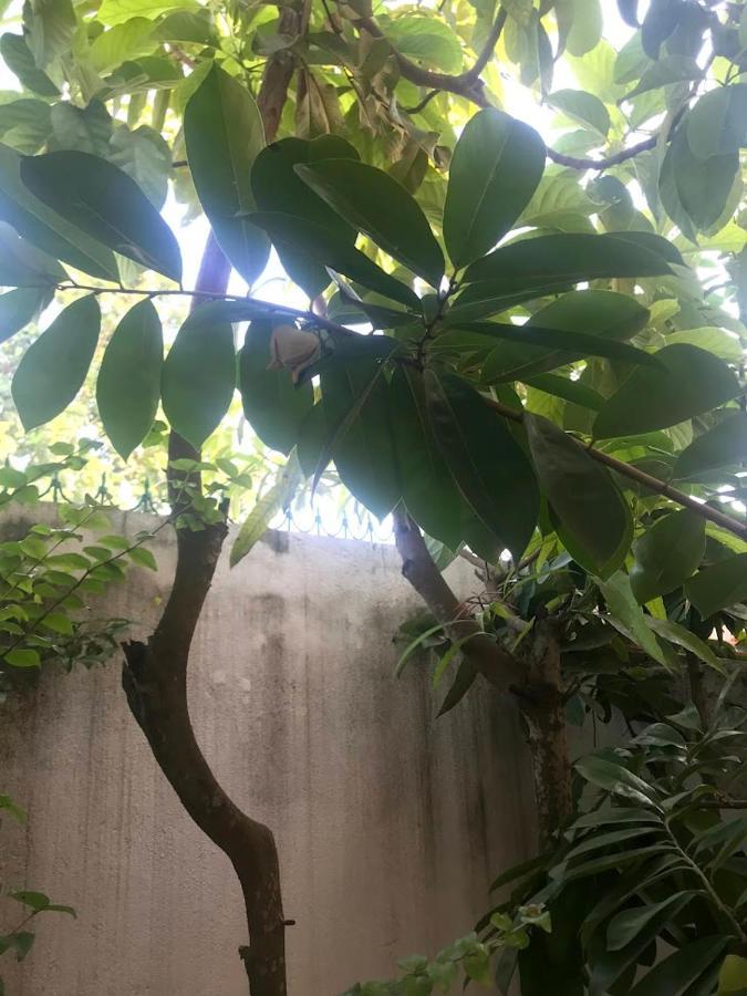 Casa De Ferias Apartment Sao Tome Ngoại thất bức ảnh