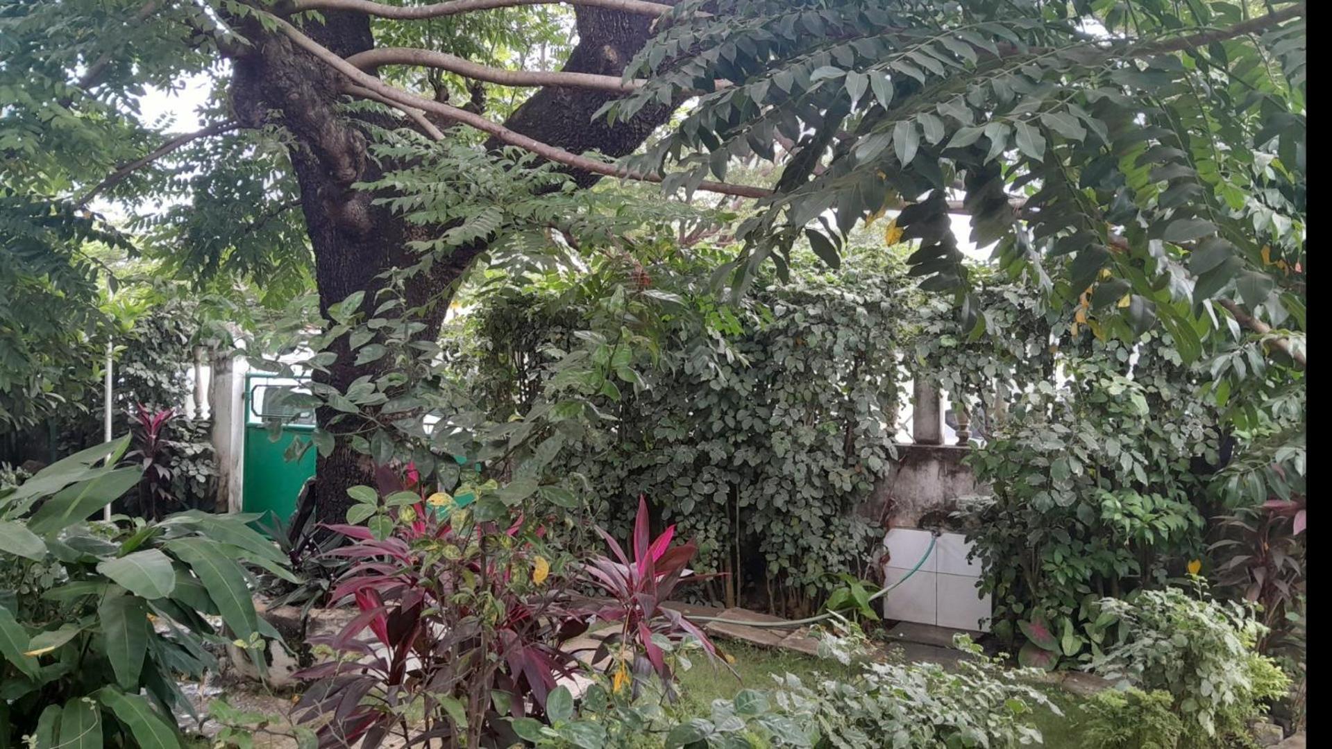 Casa De Ferias Apartment Sao Tome Ngoại thất bức ảnh