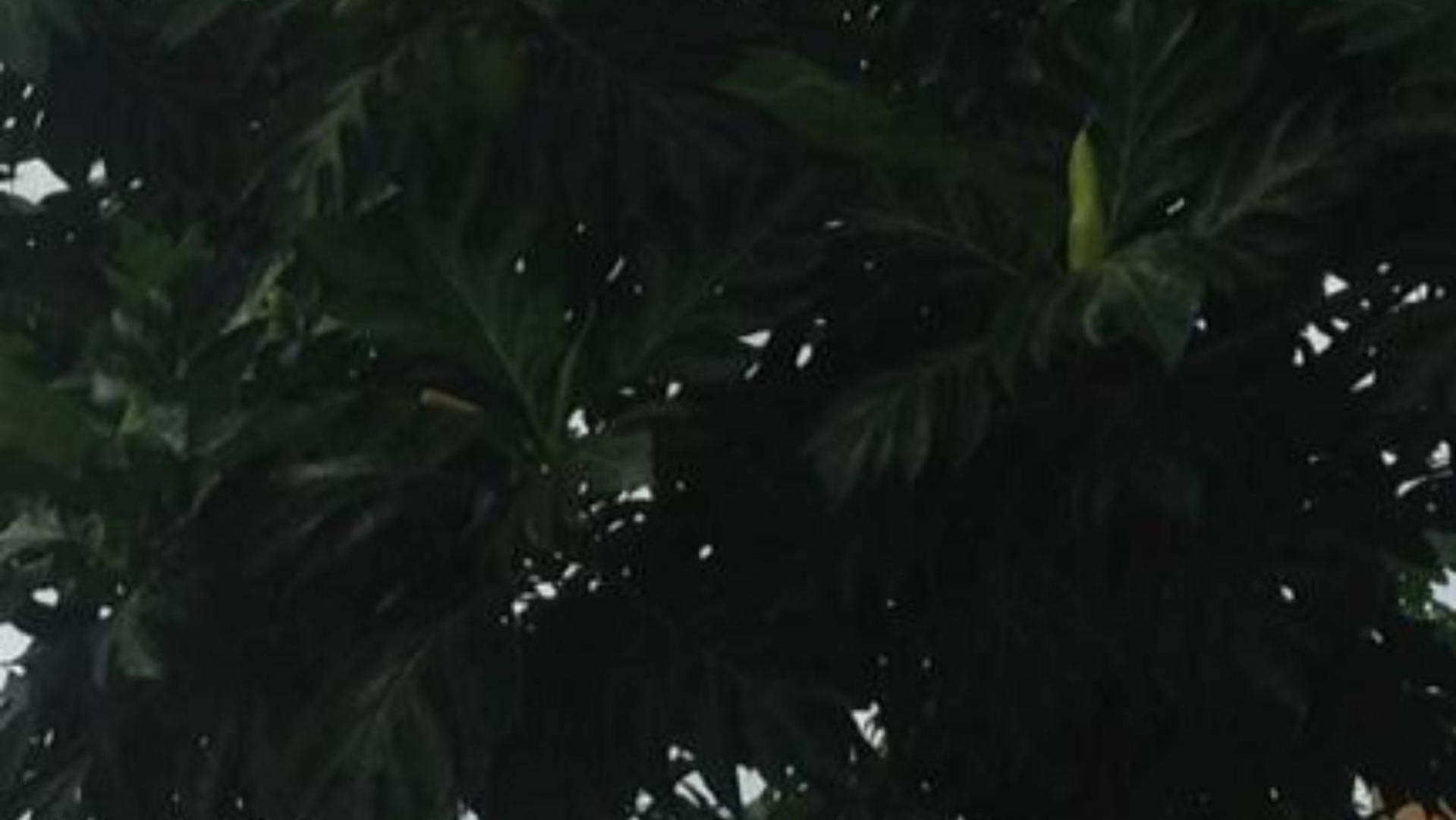 Casa De Ferias Apartment Sao Tome Ngoại thất bức ảnh